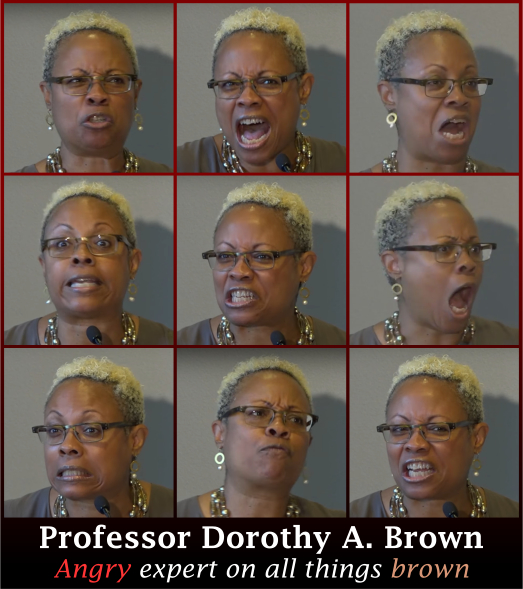 Professor Dorothy A Brown