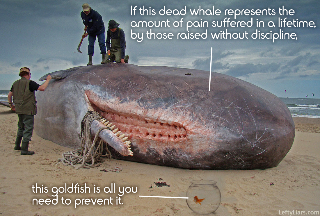 Goldfish vs. whale