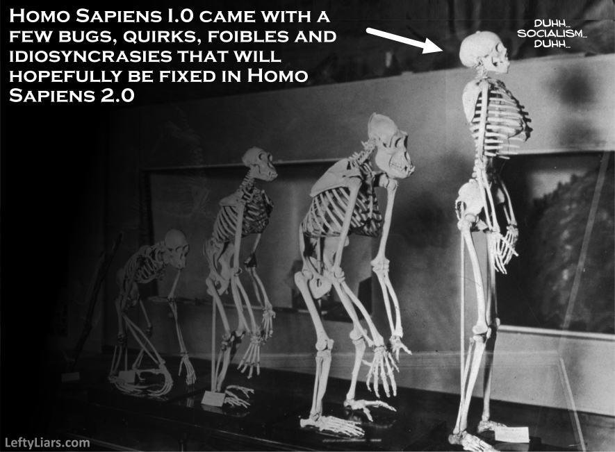 Homo sapiens 1.0