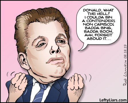 Anthony Scaramucci - The Mooch