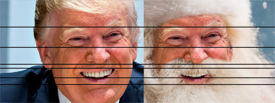 Santa Trump detail