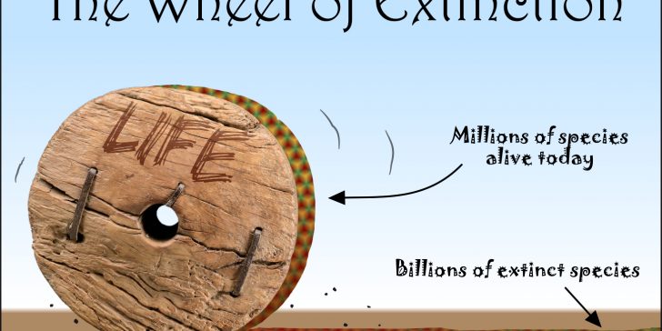 Wheel of Extinction