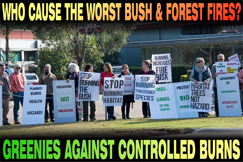 who cause the worst bush and forest fires