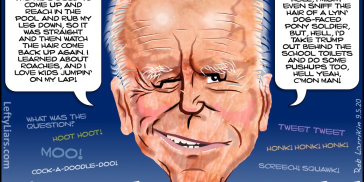 Hidin' Biden