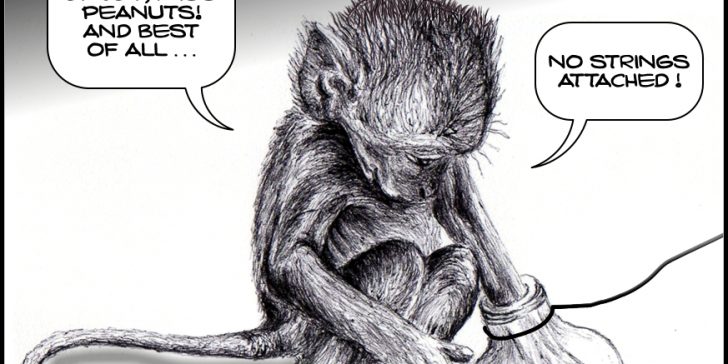 Monkey Trap – Republicans and their peanuts; guns and abortion